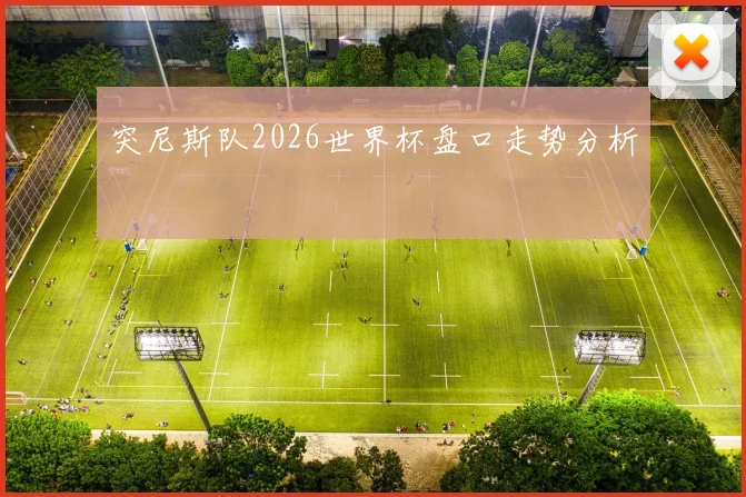 突尼斯队2026世界杯盘口走势分析