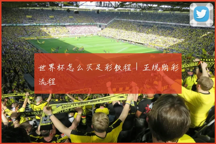 世界杯怎么买足彩教程｜正规购彩流程