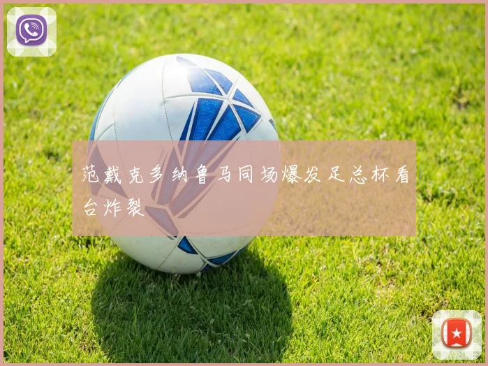 范戴克多纳鲁马同场爆发足总杯看台炸裂