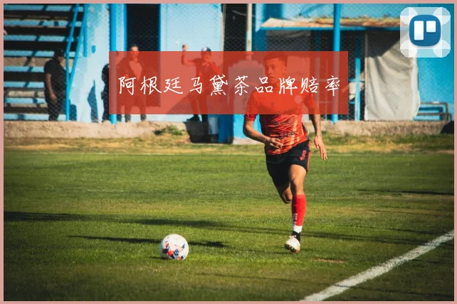 阿根廷马黛茶品牌赔率