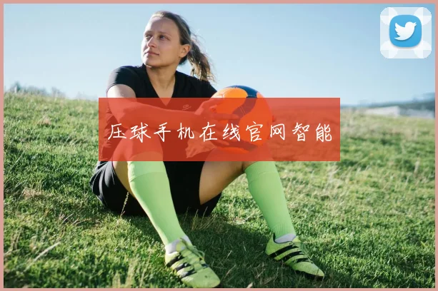 压球手机在线官网智能