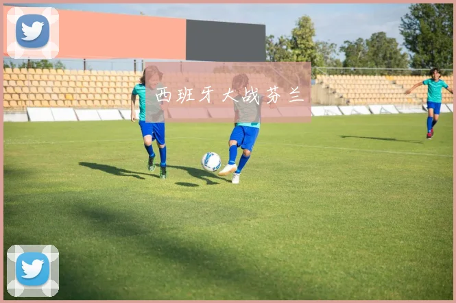 西班牙大战芬兰