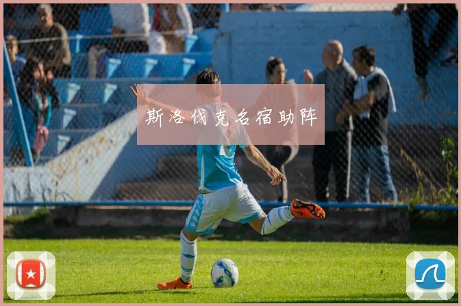 斯洛伐克名宿助阵