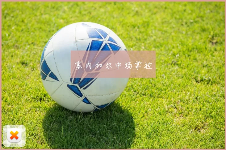 塞内加尔中场掌控