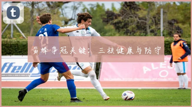 黄蜂争冠关键：三核健康与防守