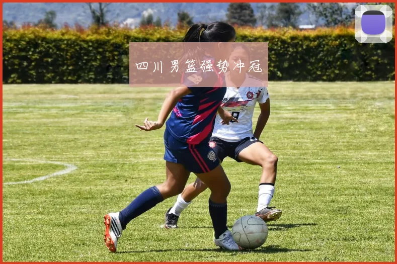 四川男篮强势冲冠