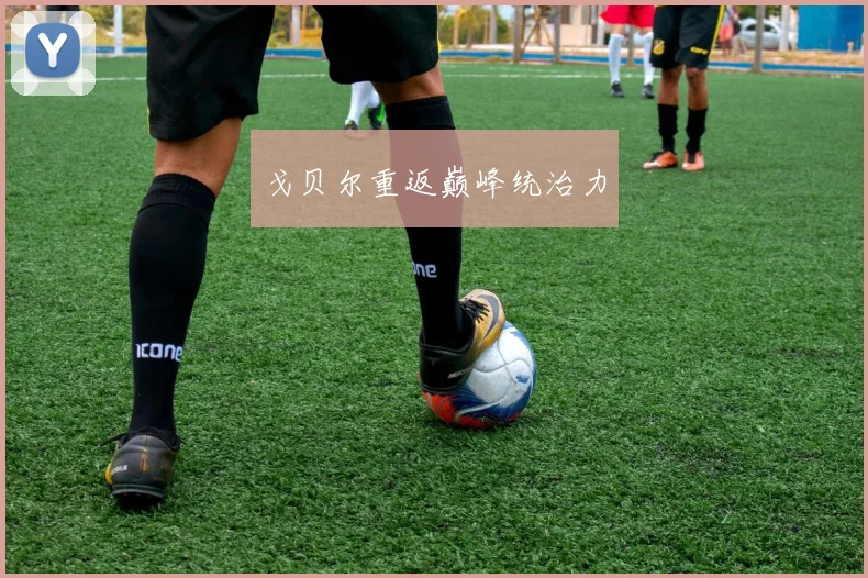戈贝尔重返巅峰统治力