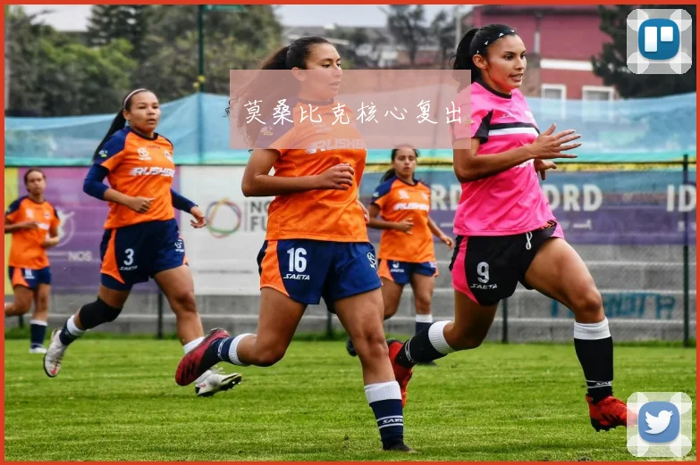 莫桑比克核心复出
