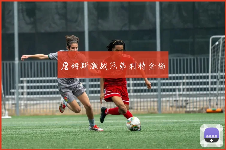 詹姆斯激战范弗利特全场
