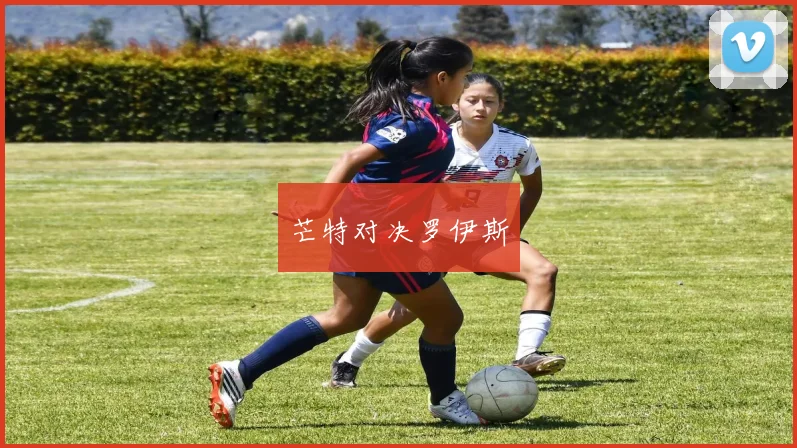 芒特对决罗伊斯