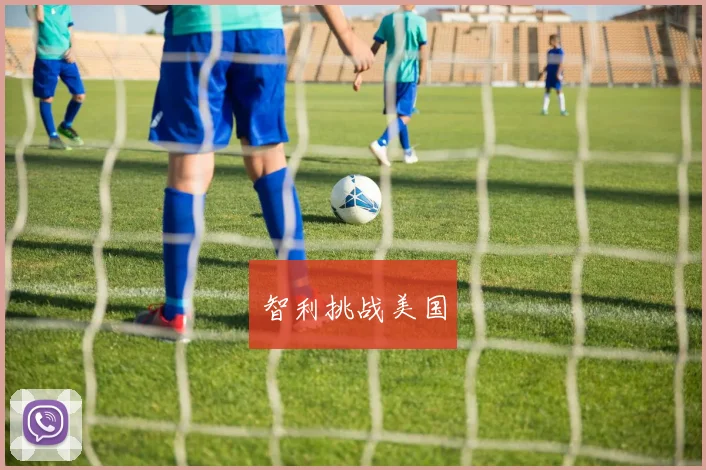智利挑战美国