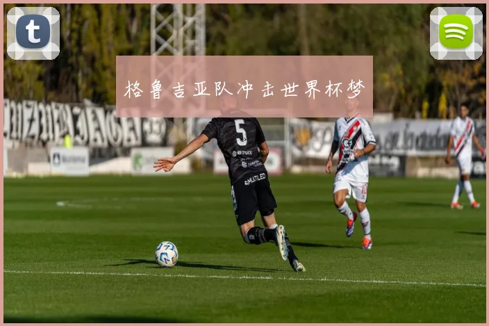 格鲁吉亚队冲击世界杯梦
