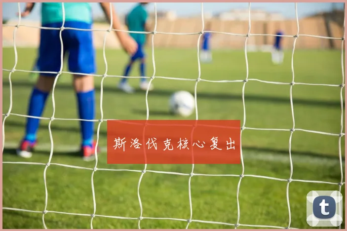斯洛伐克核心复出