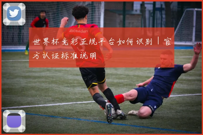 世界杯竞彩正规平台如何识别｜官方认证标准说明