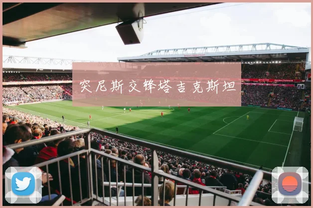 突尼斯交锋塔吉克斯坦