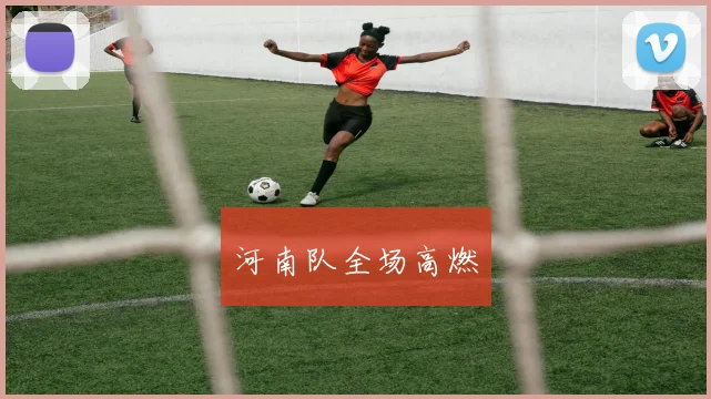 河南队全场高燃