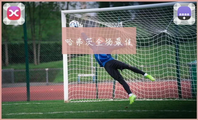 哈弗茨全场最佳