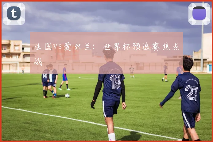 法国vs爱尔兰：世界杯预选赛焦点战
