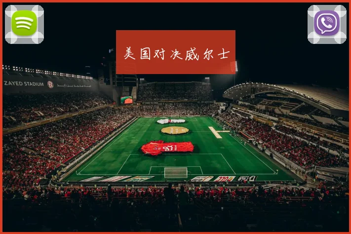 美国对决威尔士
