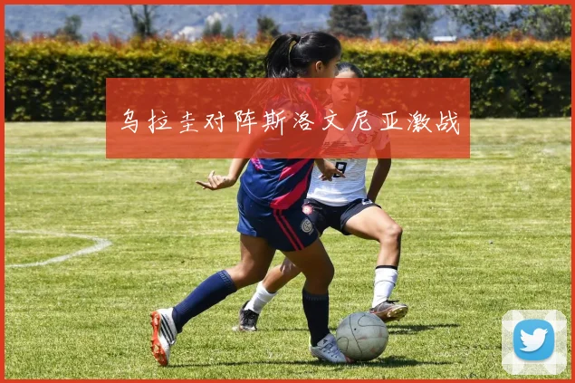 乌拉圭对阵斯洛文尼亚激战