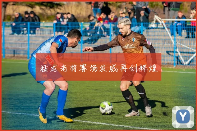 猛龙老将赛场发威再创辉煌