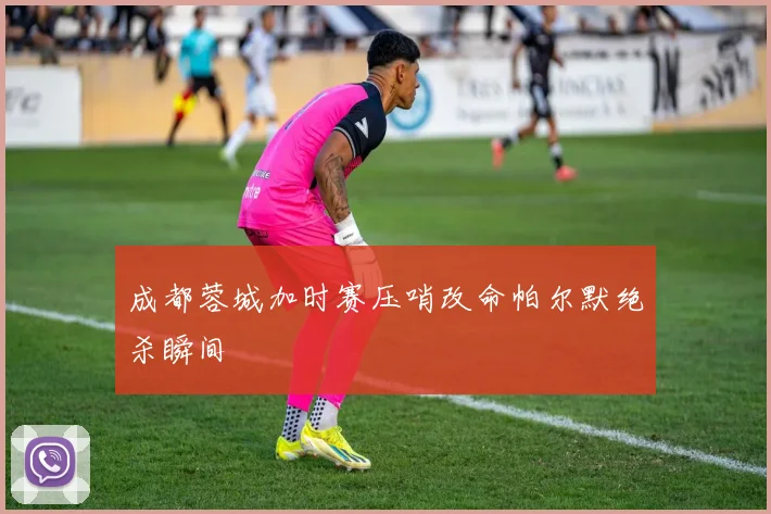 成都蓉城加时赛压哨改命帕尔默绝杀瞬间