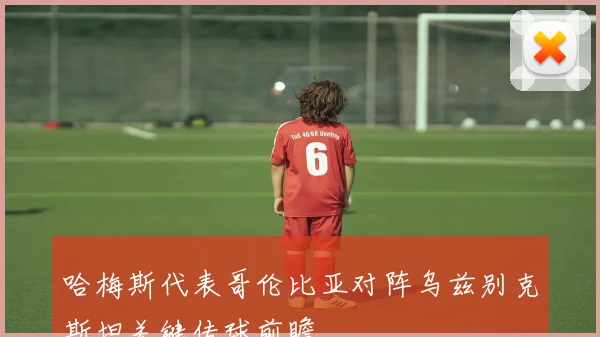 哈梅斯代表哥伦比亚对阵乌兹别克斯坦关键传球前瞻