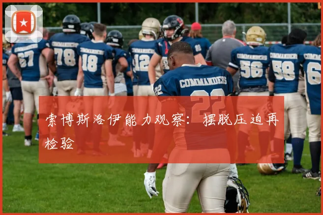 索博斯洛伊能力观察：摆脱压迫再检验